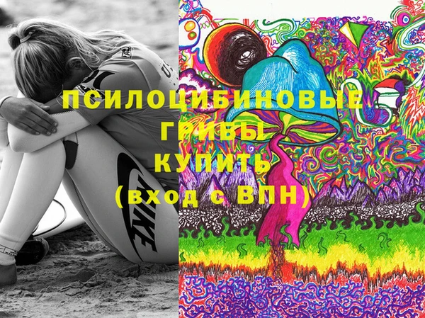 шишки Богданович